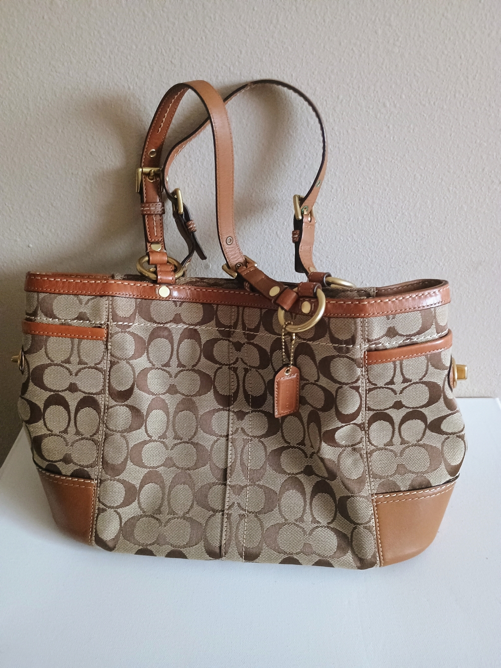 Coach Signature Canvas Tote in Khaki Tan